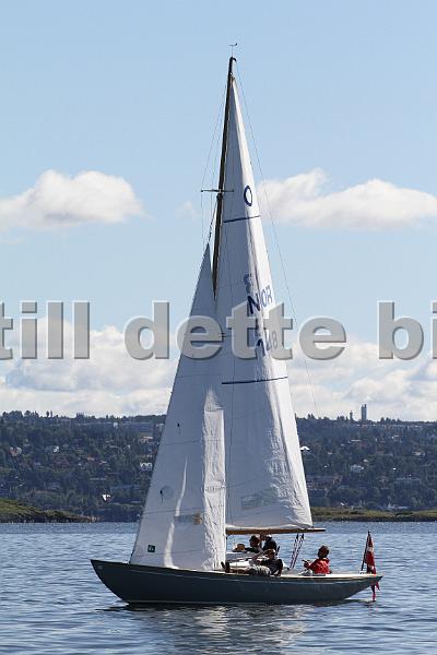 Knarr2011 052.jpg
